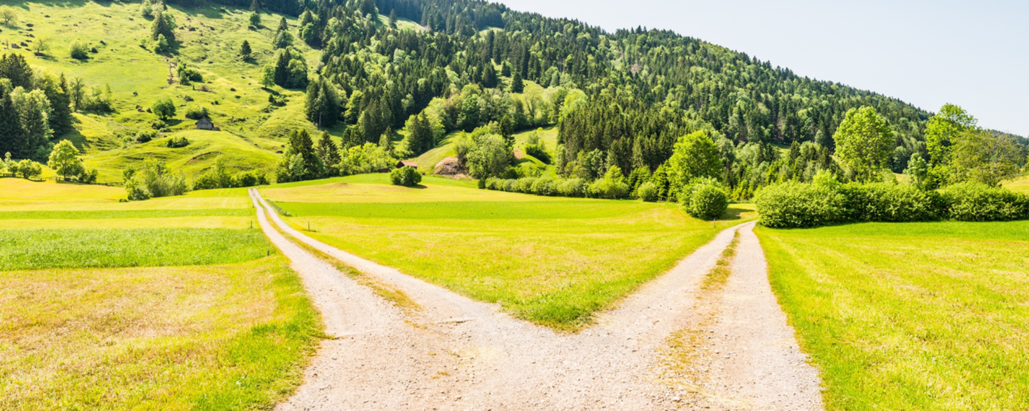 Two diverging paths in a Swiss landscape representing family advisory and education investment advisory
