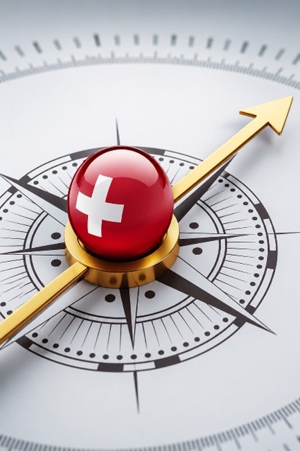 Swiss School Consulting strategic Swiss education guidance