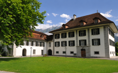 HOW TO ACQUIRE A PRIVATE SCHOOL: A PRACTICAL GUIDE FOR EDUCATIONAL INVESTORS